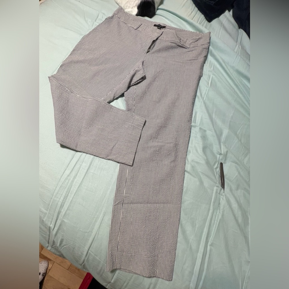 Ann Taylor women’s seersucker blue/white Pants. Size 12 - Picture 2 of 3